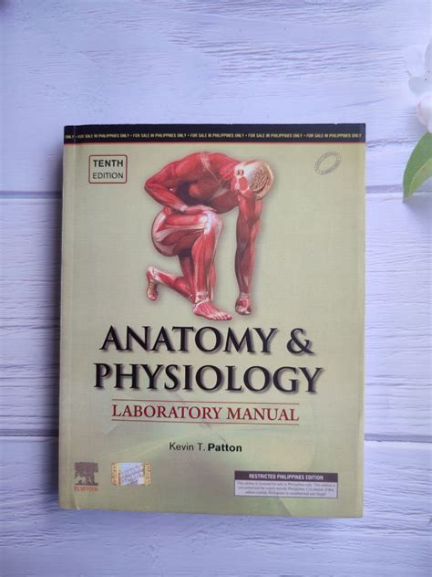 Anatomy and physiology lab manual exercise 24. - Anatomy and physiology lab manual exercise 24.